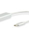 Adaptateur Equip USB-C mâle vers Mini DisplayPort femelle