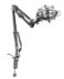 Trust Gaming GXT 253 Emits Bras de microphone ajustable avec USB - Rotation 360º - Câble 2.90m - Poids max. 900gr
