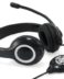Conceptronic Polona USB Headset with Microphone - Microphone flexible - Bandeau réglable - Oreillettes rembourrées - Commandes sur le câble - Câble de 2m - Couleur Noir