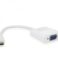 Adaptateur mâle/femelle Mini HDMI vers VGA Approx.