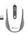 NGS Haze Wireless USB Mouse 1600dpi - 3 Boutons - Utilisation ambidextre - Couleur Blanc/Noir