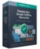 Kaspersky Small Office Security 7 Multi-Device pour 5 utilisateurs + 1 service serveur 1 an