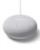 Enceinte intelligente Google Nest Mini et Assistant Chalk