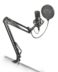 Trust Gaming GXT 252+ Emita Plus USB Microphone pour le streaming - Enregistrement cardioïde - Antichoc - Bras réglable - Câble de 2,90 m - Noir