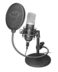 Trust Gaming GXT 252 Emita USB Cardioid Microphone - Support métallique - Câble de 1,80 m - Couleur noire